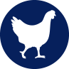 Poultry Products