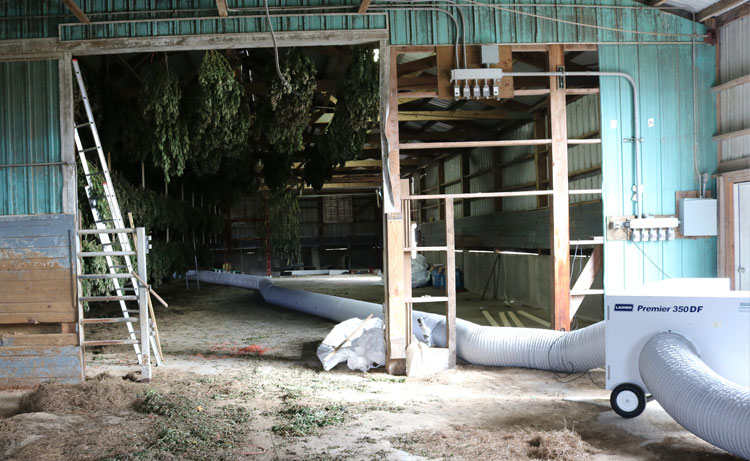 A Premier portable drying heater in a hemp drying barn.