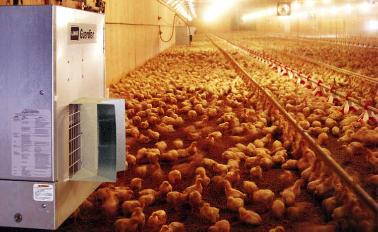 Guardian Poultry Heaters