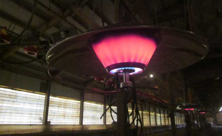 L-40 Brooder in a poultry facility.