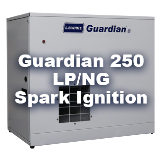 Guardian 2.0 AD250 Heaters