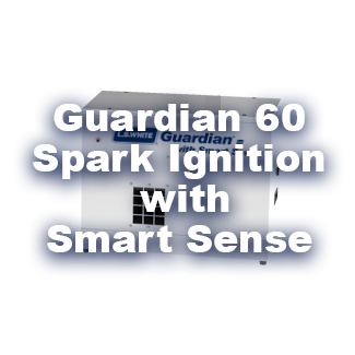 Guardian 2.0 AW60 Heaters with Smart Sense